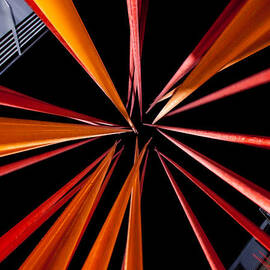 Looking Up by Jeff Stoddart