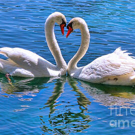 Love for Lauren on Lake Eola by Diana Sainz