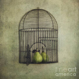 Love is the key by Priska Wettstein
