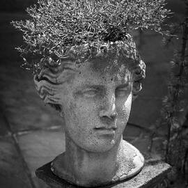 Lovely Lady BW by Teresa Mucha