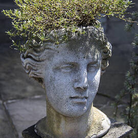 Lovely Lady by Teresa Mucha