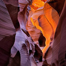 Lower Antelope Glow by Jerry Fornarotto