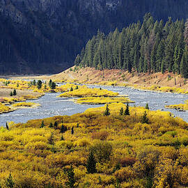 Madison River, Montana by THEODORE CLUTTER