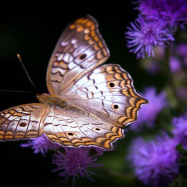MAGICAL BUTTERFLY by Karen Wiles