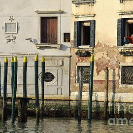 Man at window by piers in Venice by Sami Sarkis Photography