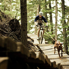 Man Mountain Biking With Dog by Dan Barham