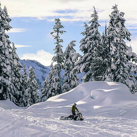 Man On Snowmobile, Callaghan Valley by Alex Eggermont