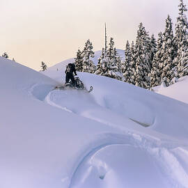 Man Riding Snowmobile In Callaghan by Alex Eggermont