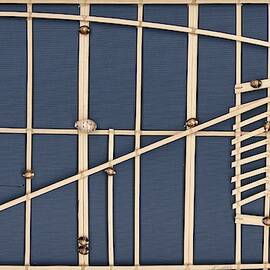 Meddo Stick Map by Science Photo Library