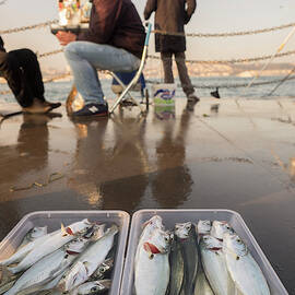 Men With Fresh Fish Container In Front by David H. Wells