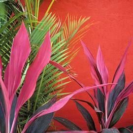 Mexican Garden Stil life by John Harmon