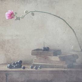 Mild Morning Of October by Delphine Devos