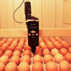 Mobile Phone Research by Science Photo Library