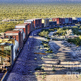 Mojave Desert Train by Diana Sainz
