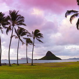 Mokolii Palms by Sean Davey