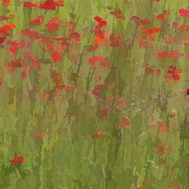 Monet Poppies II