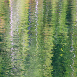 Monet Reflections 1 by James Knight