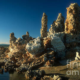 Mono Lake by Inge Riis McDonald