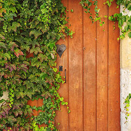 Monpazier Door by Georgia Clare