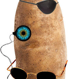 MONSANTO GM Russet Potato