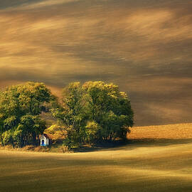 Moravian Fields... by Krzysztof Browko