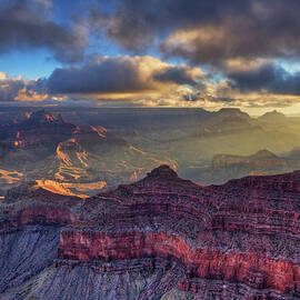 Morning Light by Beth Sargent