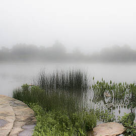 Morning Summer Mist by Julie Palencia