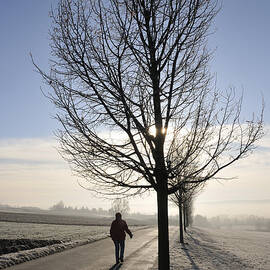 Morning walk by Matthias Hauser