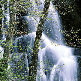 Moss Glen Falls Spring