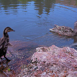 Mother and Child by Rona Black