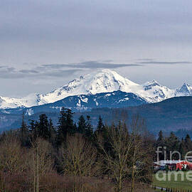 Mount Baker from Abbotsford