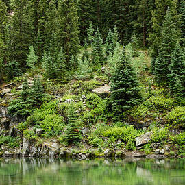 Mountain Green by Adam Pender