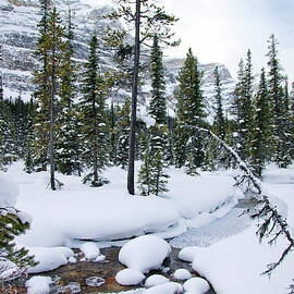 Mountian Stream In Winter Covered In by Lori Andrews