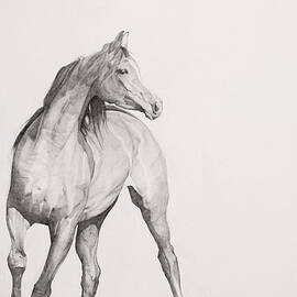 Moving Image by Emma Kennaway