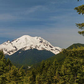 Mt Rainier by Brian Harig