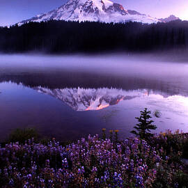 Mt. Rainier With Reflection by Art Wolfe