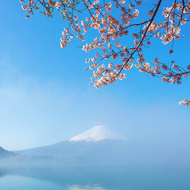 Mt.fuji Misty by Shin Okamoto
