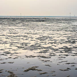 Mudflats Of The Wadden Sea Wattenmeer by Jason Langley