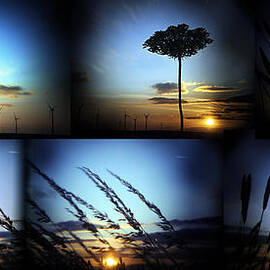 Multi Sunset by Rafa Rivas