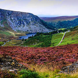 Multicolored Carpet of Wicklow Hills. Ireland by Jenny Rainbow