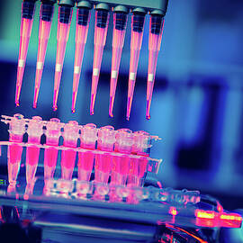 Multipipette In Lab