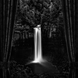 Musing Through My Window ... by Yvette Depaepe
