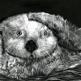 My Furry Friend by Sachi Nandedkar 6th Grade by California Coastal Commission