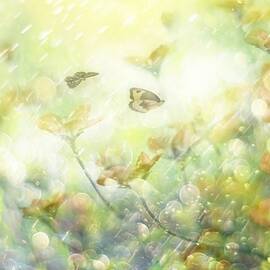 My Wonderful World by Delphine Devos