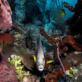 My World by Jean Noren