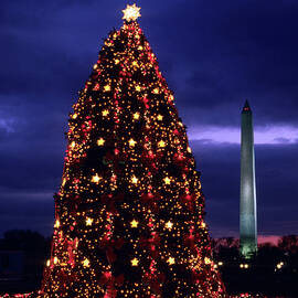 National Christmas Tree By The White by Hisham Ibrahim
