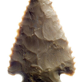 Native American Arrowhead by Science Photo Library