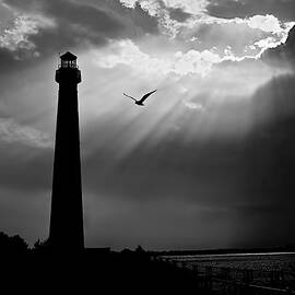 Nature Shines Brighter in black and white by Mark Miller