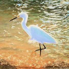 Navigating the Tide by Tim Davis