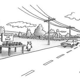 New Yorker May 6th, 1991 by Anthony Taber